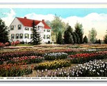 George Lawler Tulip Garden Gardenville Tacoma Washington WA WB Postcard V18 - $4.90