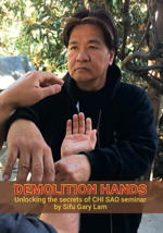 Demolition Hands DVD by Gary Lam - £27.49 GBP