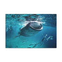 Funny Whale Shark Silly Whale Shark Scene Outside Wall Art Ready to Hang Unfram - £53.25 GBP+