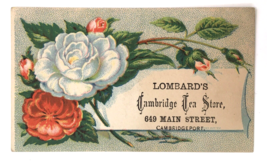 Victorian Trade Card Lombard&#39;s Cambridge Tea Store Cambridgeport MA 1880s - £12.53 GBP