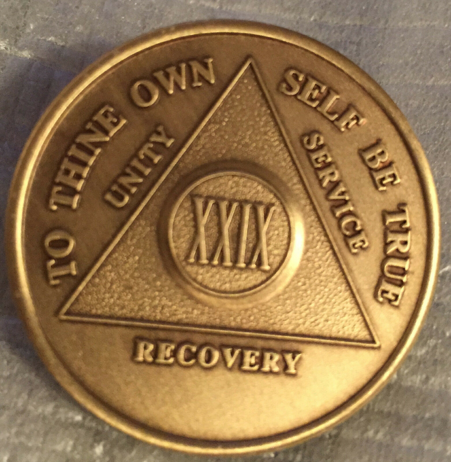 Alcoholics Anonymous 29 Year Recovery Coin Chip Medallion Medal Token AA... - $1.70
