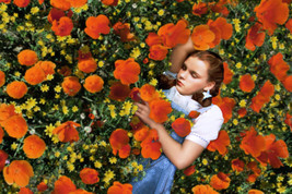 Judy Garland Wizard Of Oz iconic pose with red flowers 18x24 Poster - $23.99