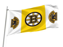 Boston bruins1 thumb200