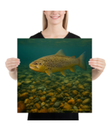 Brown Trout Underwater Stream Poster | Fishing Wall Art Print Nature Decor - $22.75