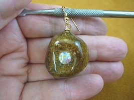 PP2-2 Real MOOSE POOP Aurora Borealis doo gold 1 single earring WEIRD po... - $12.19