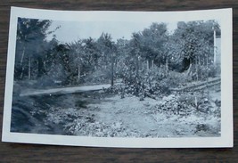 Vintage Black And White Photo, 1937 Very Good Condition Nice Old Photo - £3.16 GBP