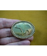 (B-bear-375) walking Grizzly bear oval textured dot trim brass pin penda... - $337.37 MXN