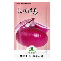 220Seeds Seeds Onion Red Baron Giant Round Vegetable Planting Organic Gardening  - $10.90