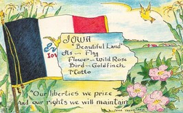 Iowa~Beautiful Land~State FLAG-FLOWER &amp; MOTTO-YOUNG PAUL~1955 Postcard - £4.68 GBP