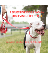 GF PET Reflective EEZY-6 Dog Leash – 6-in-1 High-Visibility Red (XS/S–M/L) - $87.99+