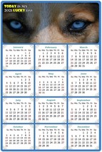 2022 Magnetic Calendar - Today is My Lucky Day - Dogs Themed 03 (7 x 10.5) - £7.90 GBP
