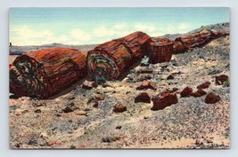 Petrified Forest Hobrook  Arizona AZ UNP Unused Linen Postcard E15 - £2.33 GBP