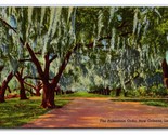 Parkenham Oaks Nuovo Orleans Louisiana La Unp DB Cartolina O20 - £4.53 GBP