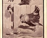 Vtg Postcard 1900-10s Comic - THe Joke Is On Me - Hen &amp; Rooster w Ducklings - £6.95 GBP
