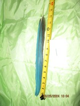 1 MACAW FEATHER Gold And Blue Macaw Naturally Molted 23 Inches Long - £23.77 GBP