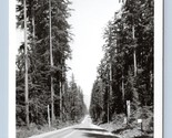 RPPC Olympic Autostrada Lago Quinault Washington Wa Ellis Foto 246 Carto... - $8.14
