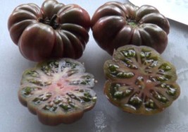 Purple Calabash Tomato Hybrid Vegetable Garden Planting  Fresh Tomatoe 50+ seeds - £7.29 GBP