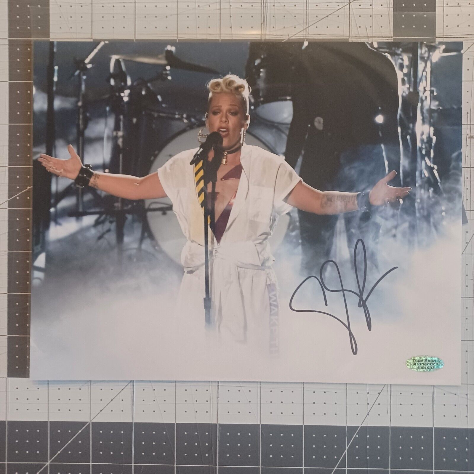 Alecia Beth Moore Hart Pink Pop Singer Signed Autographed Auto 10x8 Phot... - $139.08