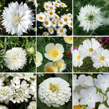 Fresh Wildflower Mix White Cloud 9 Heirloom Memory Or Moon Non-Gmo 500+ Seeds - $10.96