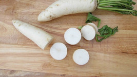200+ Daikon Radish Heirloom Vegetable Seeds Non-GMO White - $8.16