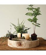 Natural Wood Round Tray - 32CM Diameter, 6CM Height - $1,085.75 MXN