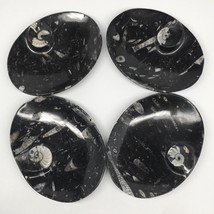 4pcs,6.25&quot;x4.75&quot;x5mm Oval Fossils Orthoceras Ammonite Bowls Dishes,Black, MF1367 - £28.86 GBP