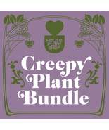 Creepy Plant Bundle - $37.99+