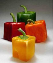 Rarest Mixed Orange Green Red Yellow Square Sweet Pepper F1 Seeds, Professional  - £11.61 GBP