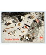 Sea Shells Sand Fishing Net Tropical Beach FL Postcard - €6,01 EUR