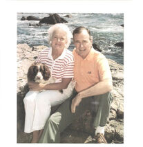 GEORGE BUSH &amp; BARBARA &amp; MILLIE vintage 8" x 10" color picture (from Whit... - $14.84