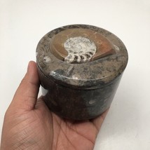 572g Round Shape Fossils Ammonite Brown Medium Jewelry Box @Morocco,MF601 - £20.45 GBP
