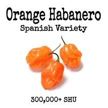 Orange Habanero - Spanish Variety - 20 Seeds - £2.75 GBP