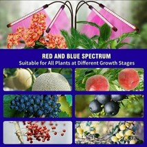 4 Head LED Grow Light Plant Growing Red Blue Indoor Plant Hydroponic Lam... - £37.58 GBP