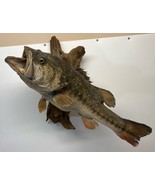 Taxidermy Trophy Largemouth Bass Mount Real Skin Game Fish Wooden 10+ Po... - £156.58 GBP