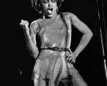 Tina Turner 8x10 BW Concert Photo - $15.67