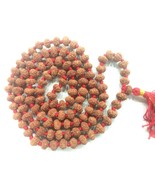 Rare 9 Mukhi Rudraksha Durga Shakti Mala – 7 mm -  108+1 Beads - Certified - $2,712.32 MXN