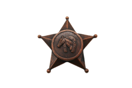 Vintage copper tone horse equestrian star emblem scarf clip - £11.78 GBP