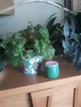 Scented candle - $7.00
