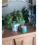 Scented candle - €6,03 EUR