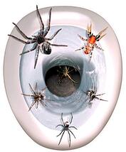 Gothic Halloween Prop-Spiders Toilet Topper-Tattoo Window Cling Decal De... - $5.91