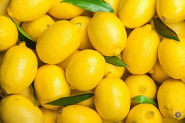 5 Honeydew Lemon Seeds Fresh Seeds USA - $6.96