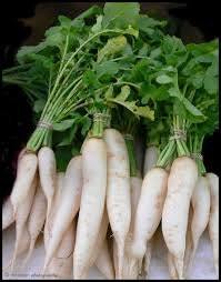 Radish long white 50seeds - code 507 Item image 2