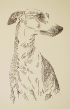 Whippet dog art portrait drawing. Print 88 Kline adds dog&#39;s name FREE Gr... - $49.45