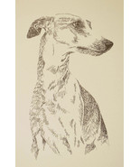 Whippet dog art portrait drawing. Print 88 Kline adds dog&#39;s name FREE Gr... - $49.45