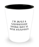 Inspire Stepmother, I&#39;m Just A Stepmother Trying Not To Raise Assholes, ... - £7.63 GBP