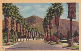 Foothill Residential Drive California CA Postcard A30 - $2.99