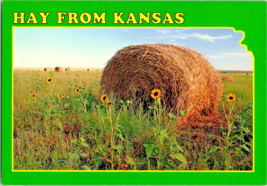 Postcard Kansas Hay Bales Wild Sunflowers State Flower John Avery 6.5 x ... - $4.95
