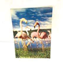 Flamingos Birds 3-D 3D Postcard Unposted Wonder Co. 1970s Vintage Printed Japan - £18.64 GBP