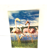 Flamingos Birds 3-D 3D Postcard Unposted Wonder Co. 1970s Vintage Printe... - £18.64 GBP