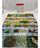 Lot Of (41) 1975 Rencontre Birds II Education Cards - $33.95 CAD